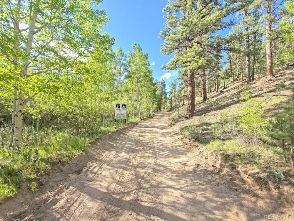 226 Hall Road Bailey, CO 80421