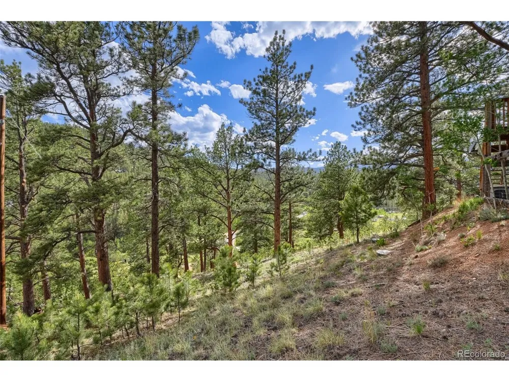 226 Hall Road Bailey, CO 80421
