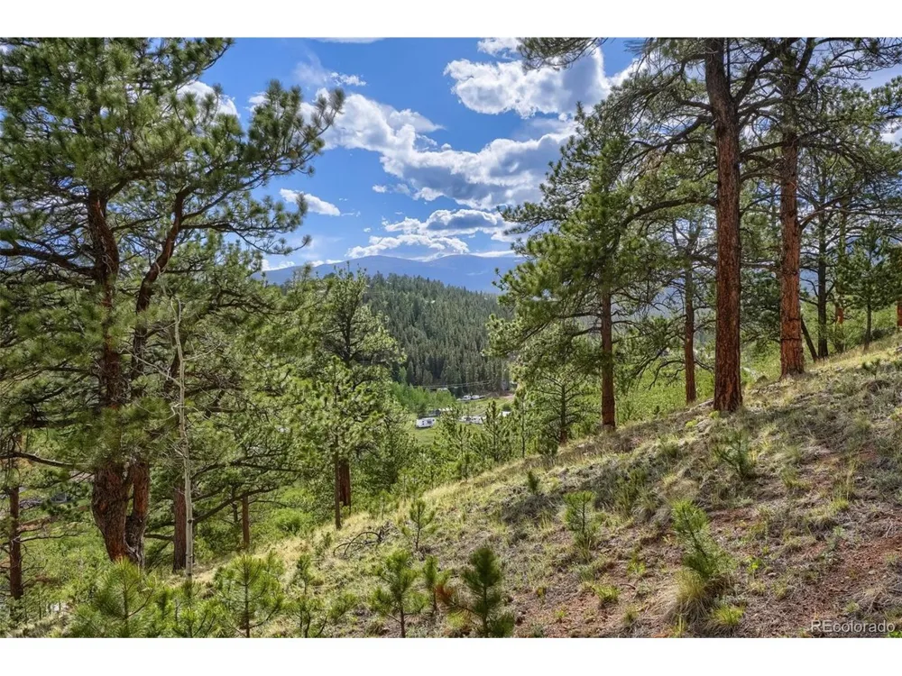 226 Hall Road Bailey, CO 80421