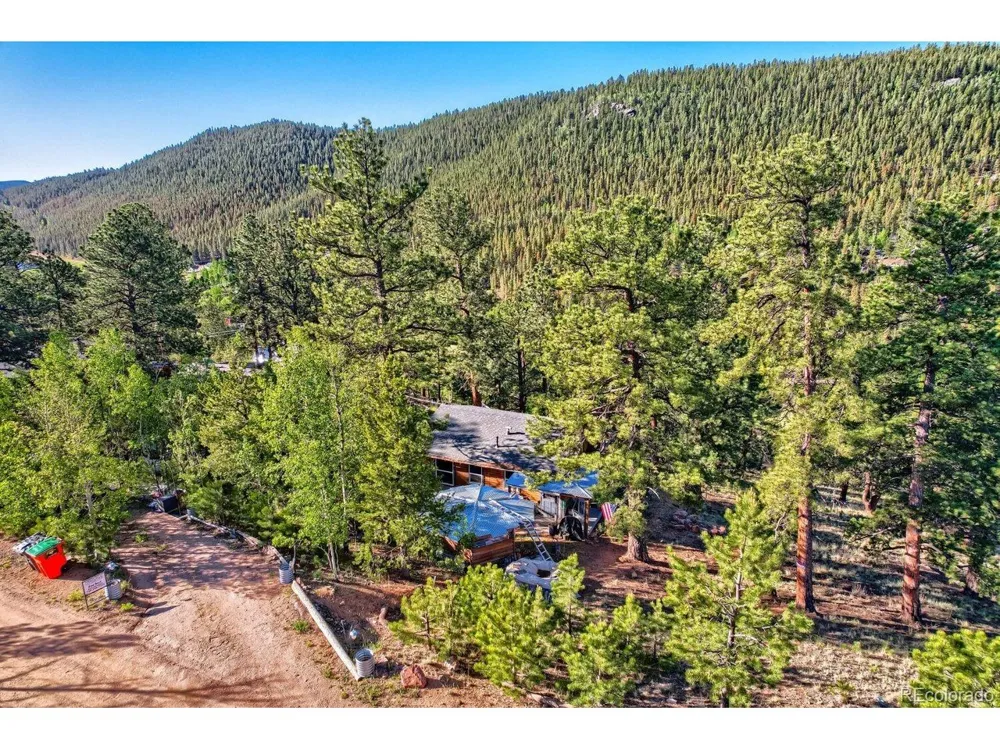 226 Hall Road Bailey, CO 80421
