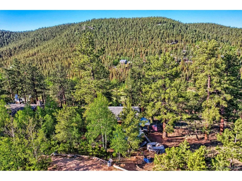 226 Hall Road Bailey, CO 80421