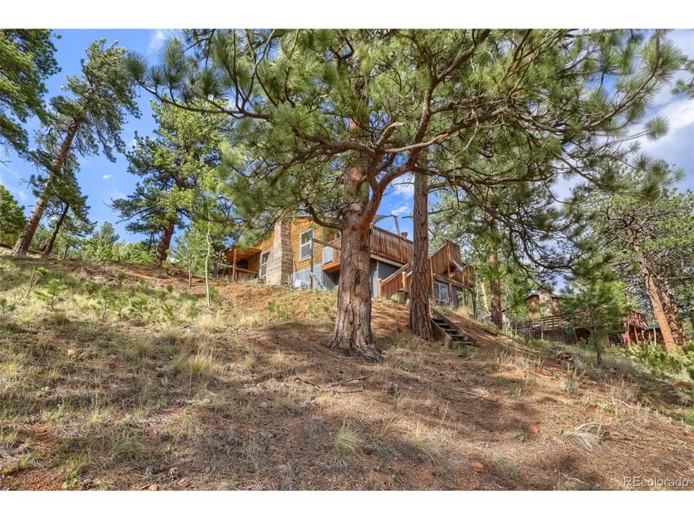 226 Hall Road Bailey, CO 80421