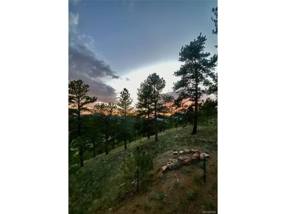 226 Hall Road Bailey, CO 80421