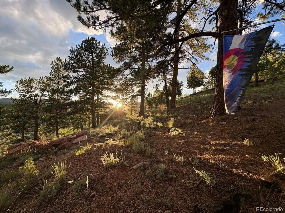 226 Hall Road Bailey, CO 80421