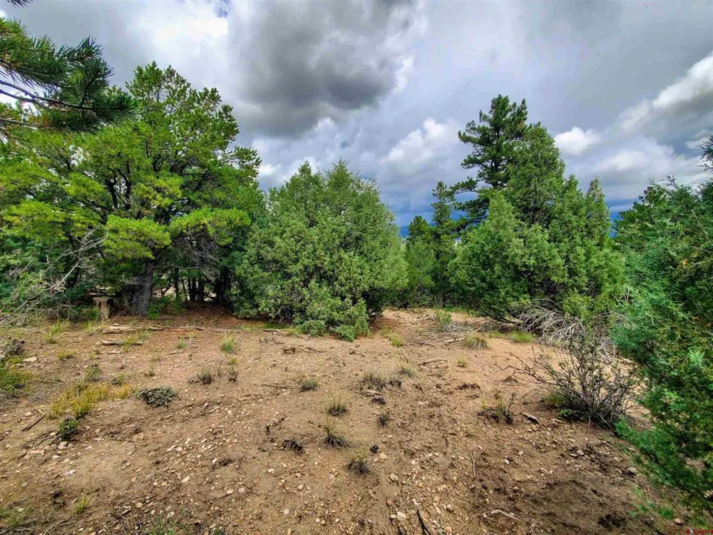 253 Aspen Circle South Fork, CO 81154