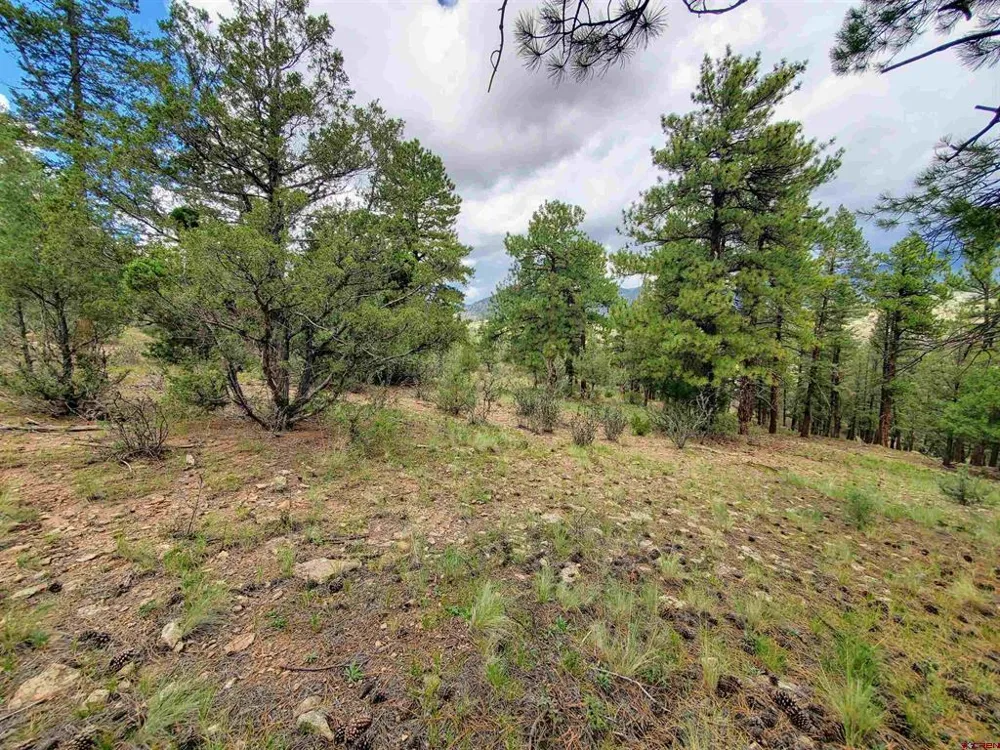 253 Aspen Circle South Fork, CO 81154