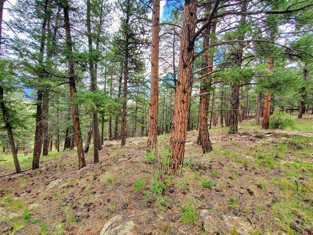 253 Aspen Circle South Fork, CO 81154