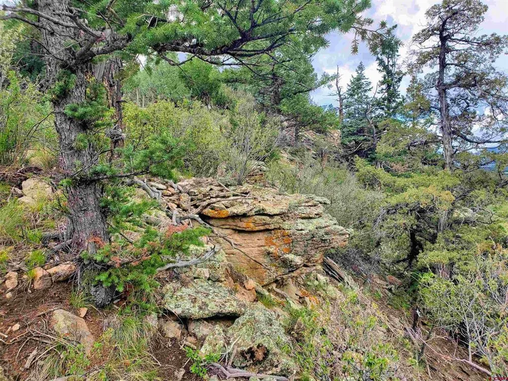 253 Aspen Circle South Fork, CO 81154