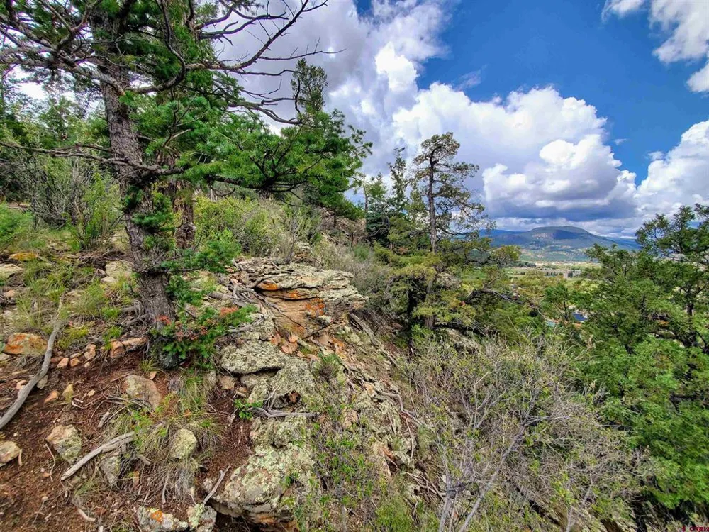 253 Aspen Circle South Fork, CO 81154