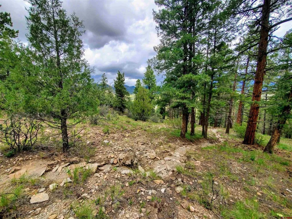 253 Aspen Circle South Fork, CO 81154