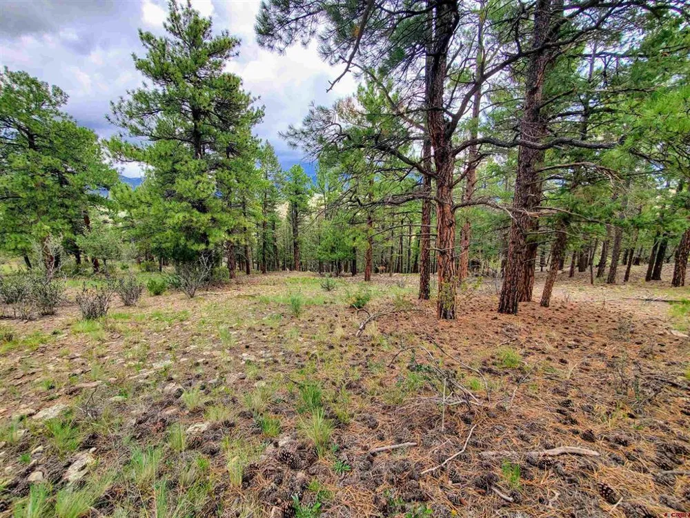 253 Aspen Circle South Fork, CO 81154