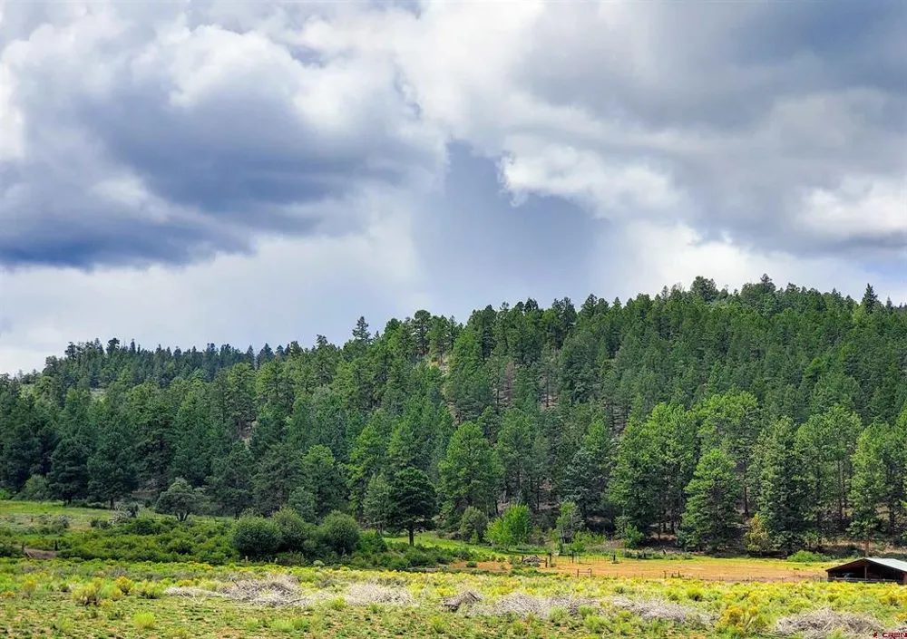 253 Aspen Circle South Fork, CO 81154