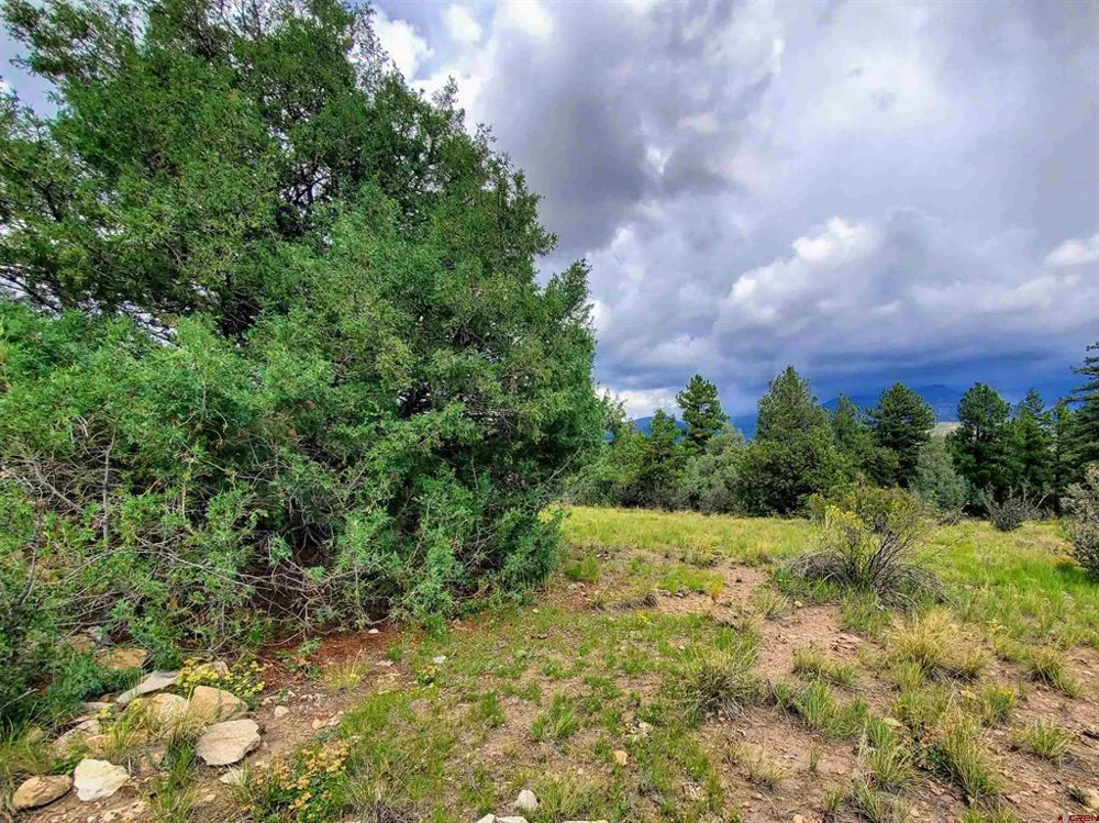 253 Aspen Circle South Fork, CO 81154