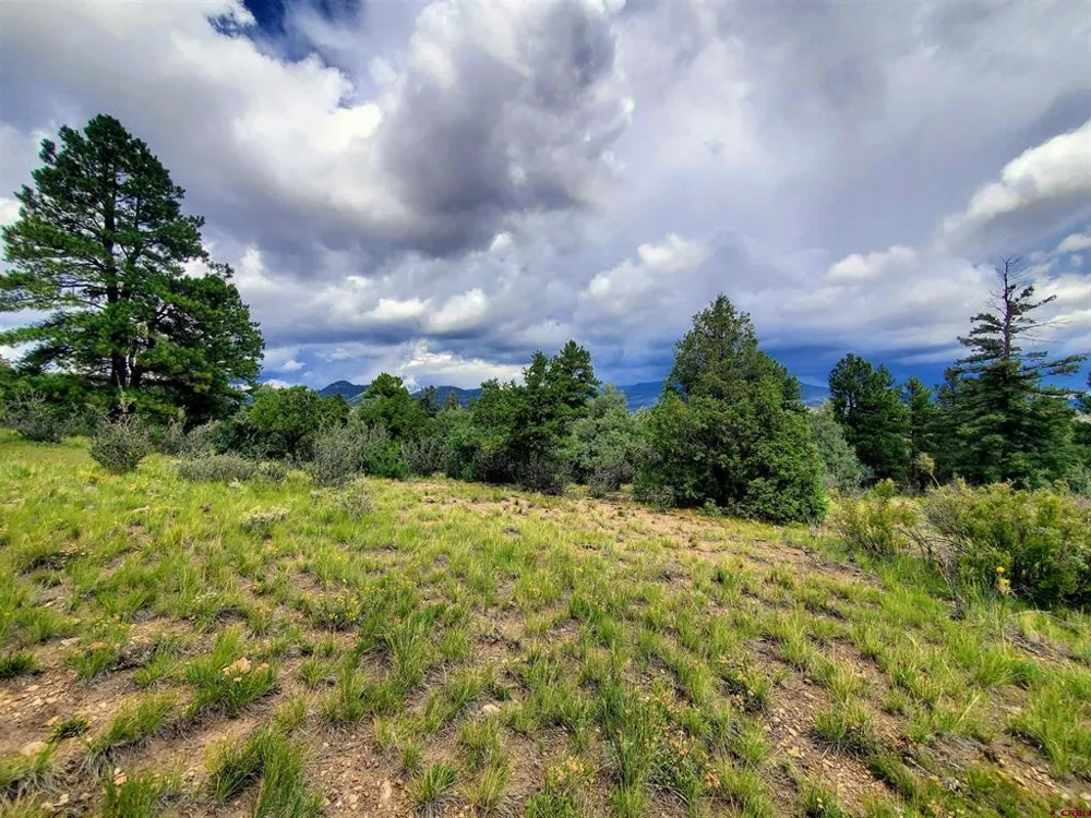 253 Aspen Circle South Fork, CO 81154