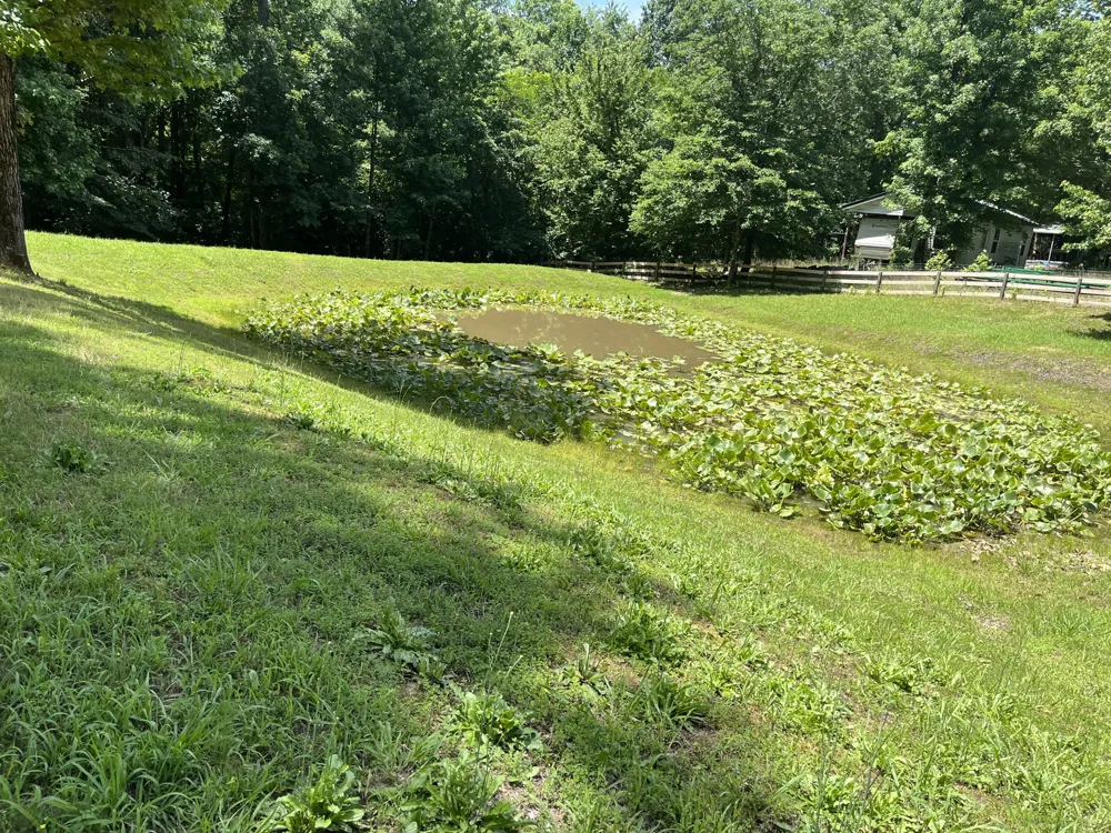 166 Outback Rd Lobelville, TN 37097
