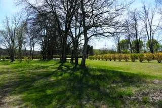 6790 Flat Creek Rd College Grove, TN 37046