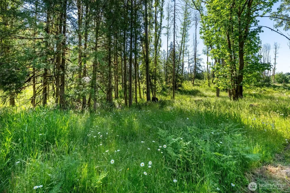 0 Chilvers Road Chehalis, WA 98532