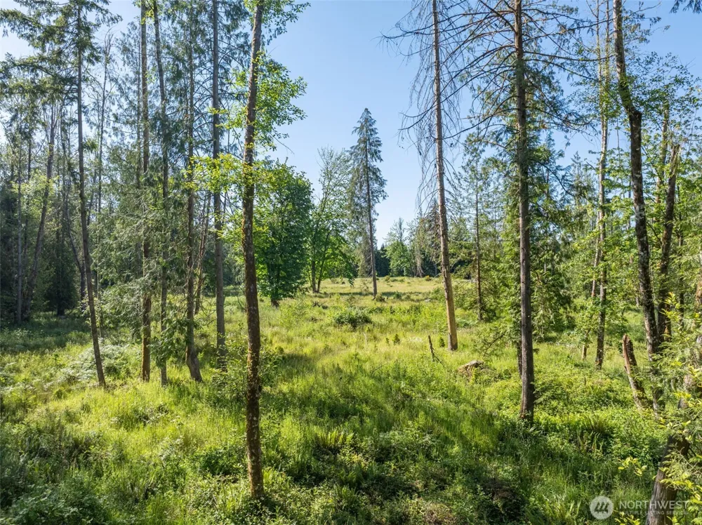 0 Chilvers Road Chehalis, WA 98532