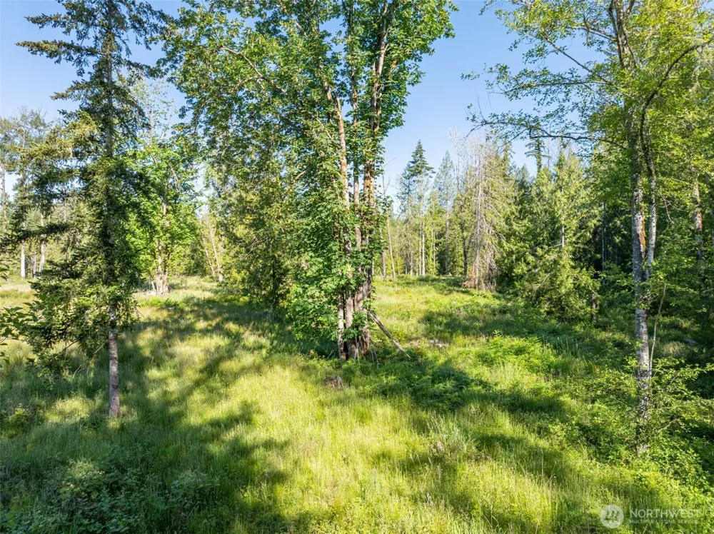 0 Chilvers Road Chehalis, WA 98532