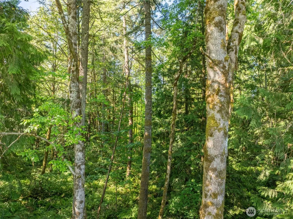 0 Chilvers Road Chehalis, WA 98532