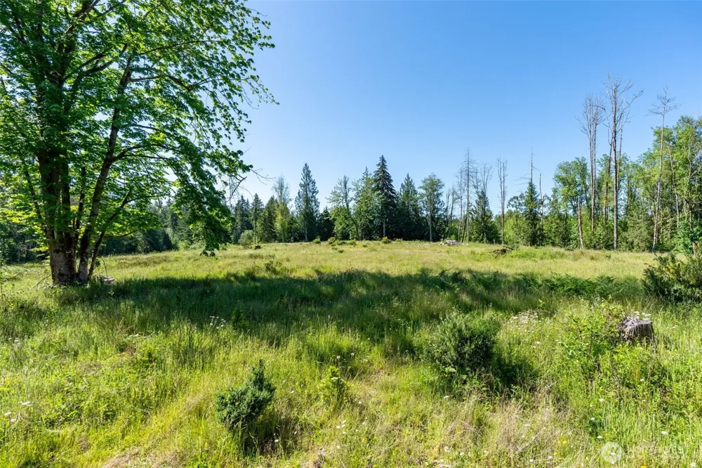 0 Chilvers Road Chehalis, WA 98532