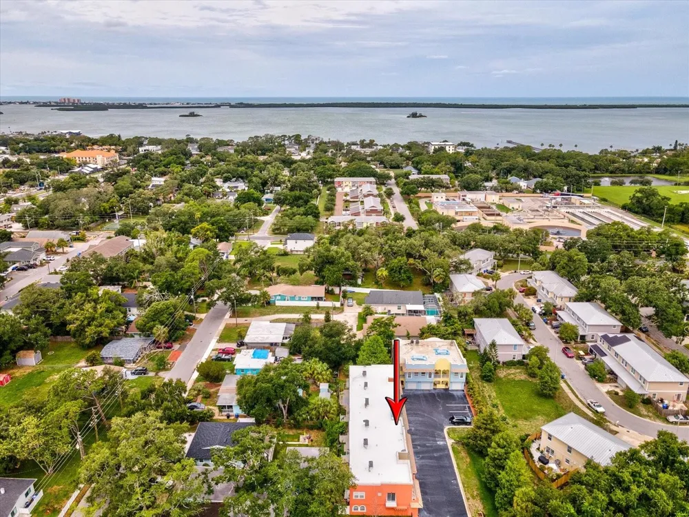 553 LUSARA COURT Dunedin, FL 34698