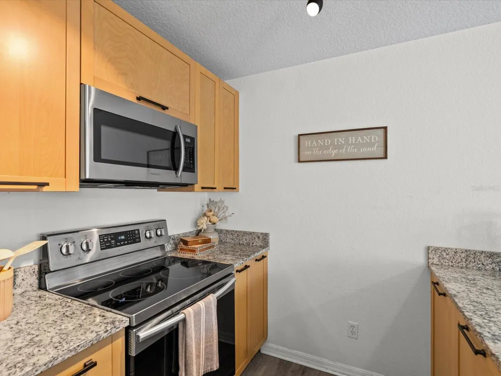 553 LUSARA COURT Dunedin, FL 34698