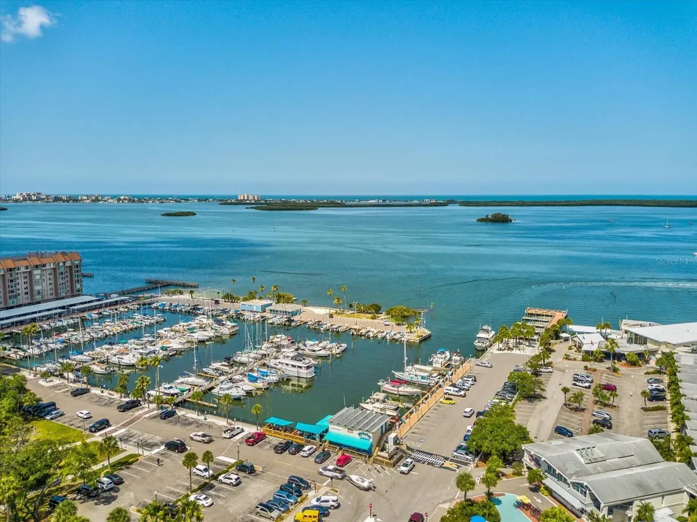 553 LUSARA COURT Dunedin, FL 34698