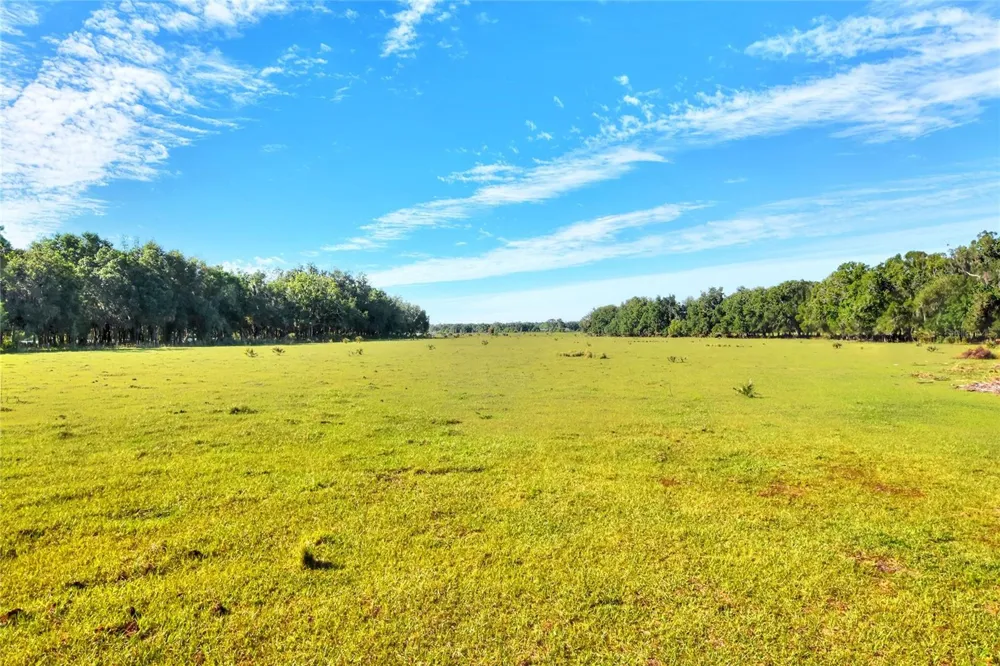 18100 DORMAN ROAD Lithia, FL 33547