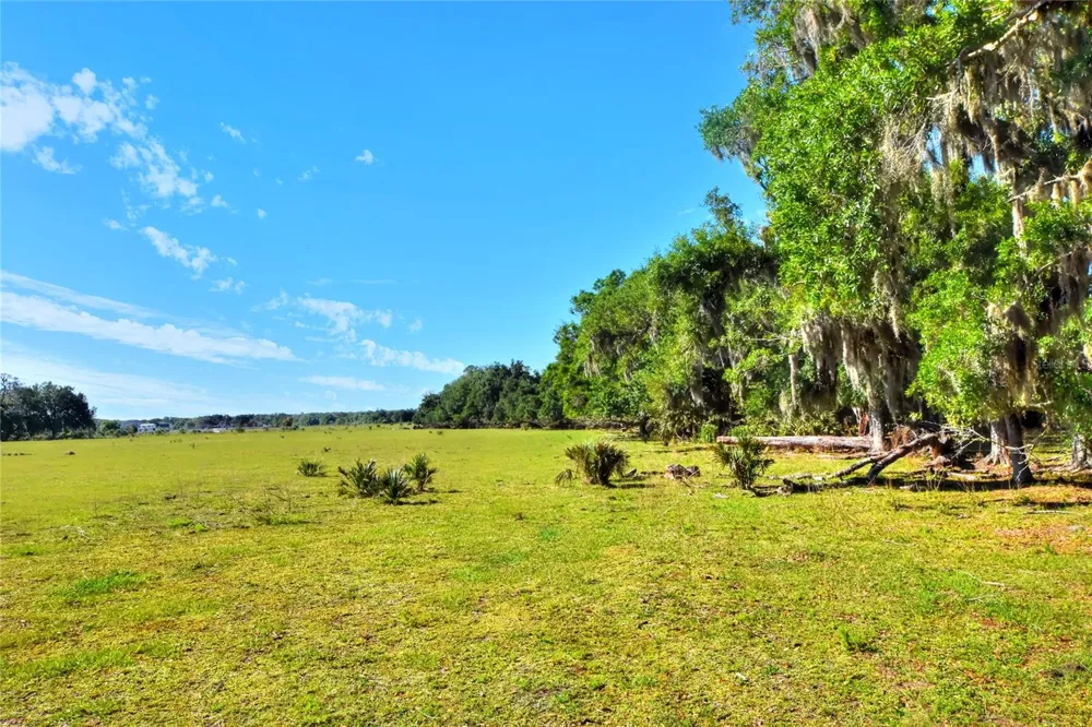 18100 DORMAN ROAD Lithia, FL 33547