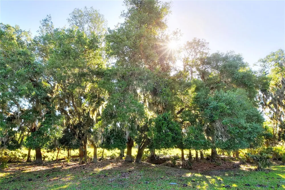 18100 DORMAN ROAD Lithia, FL 33547