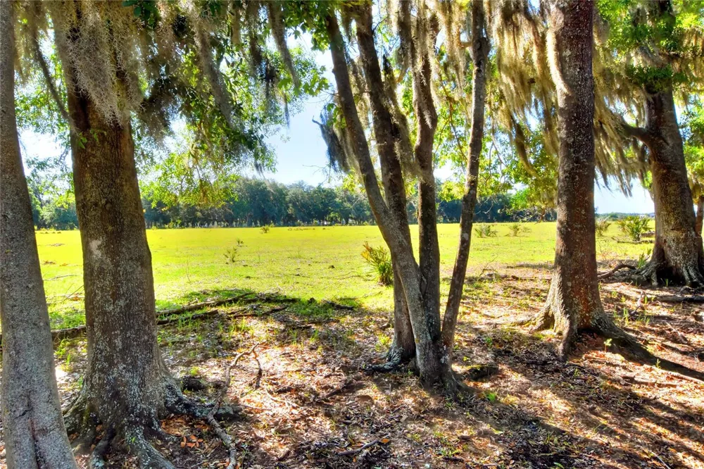 18100 DORMAN ROAD Lithia, FL 33547