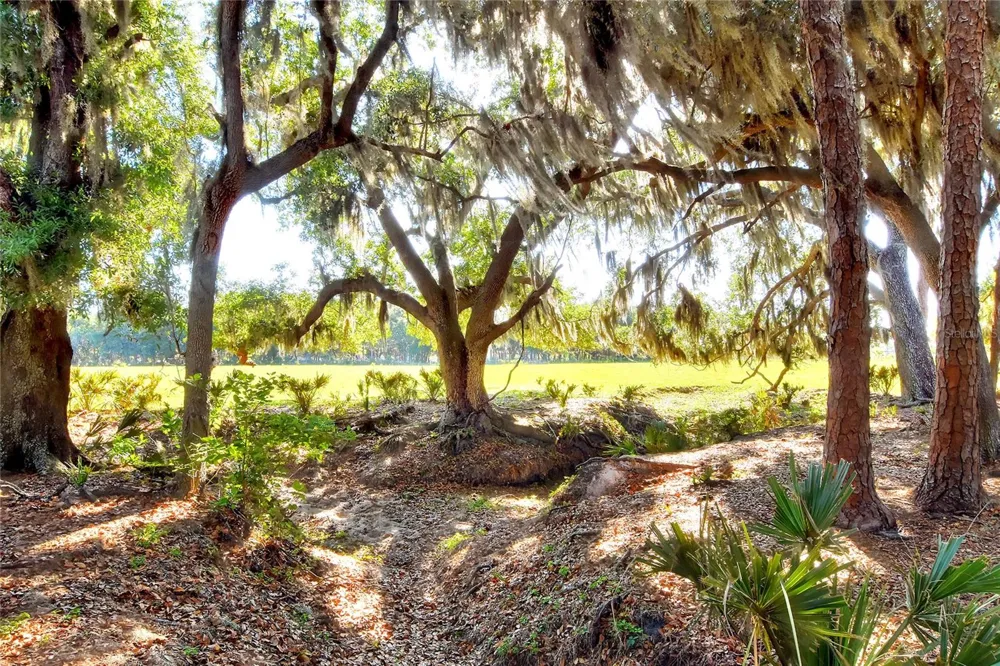 18100 DORMAN ROAD Lithia, FL 33547