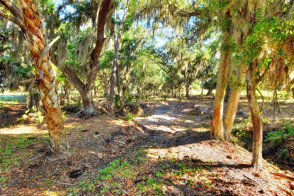 18100 DORMAN ROAD Lithia, FL 33547