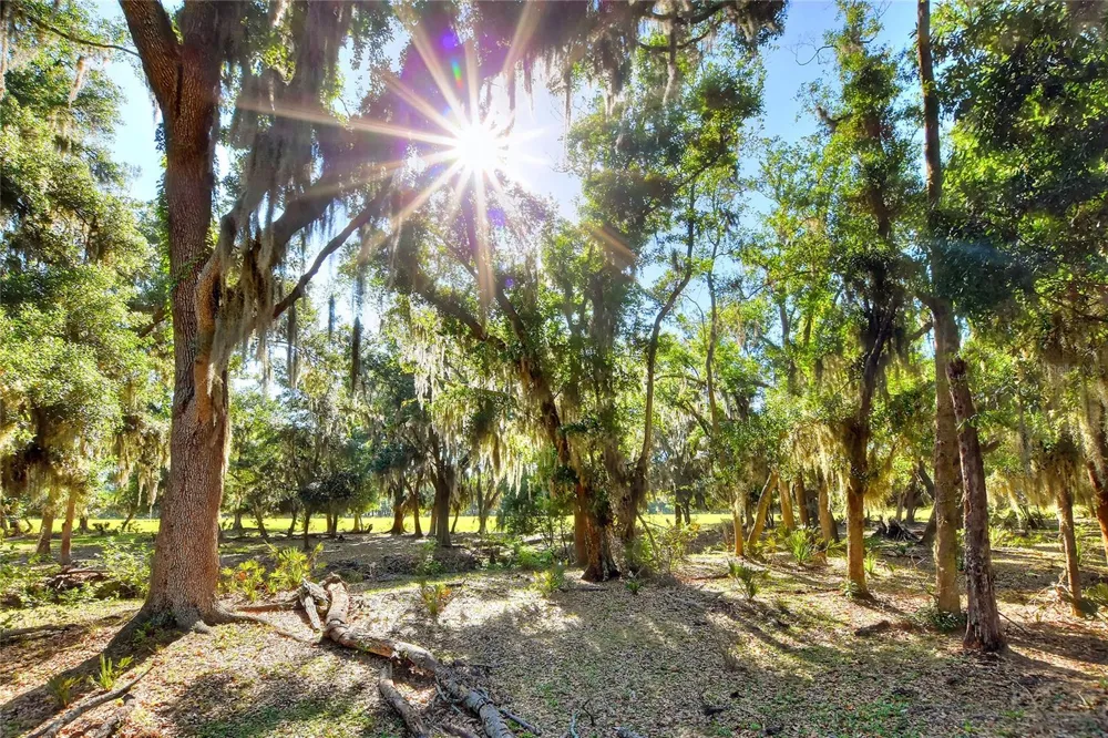 18100 DORMAN ROAD Lithia, FL 33547