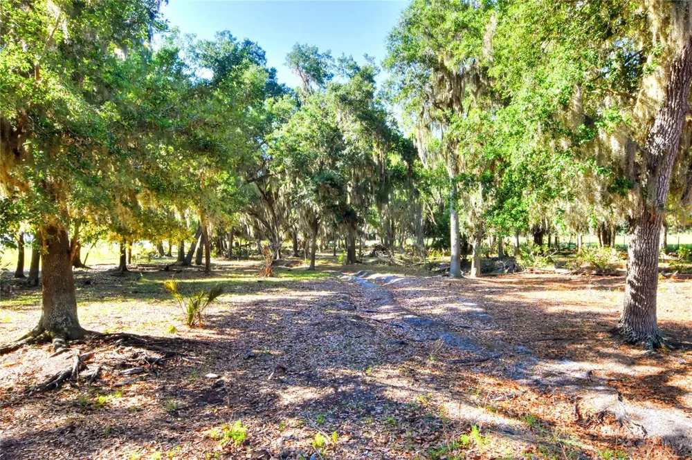 18100 DORMAN ROAD Lithia, FL 33547