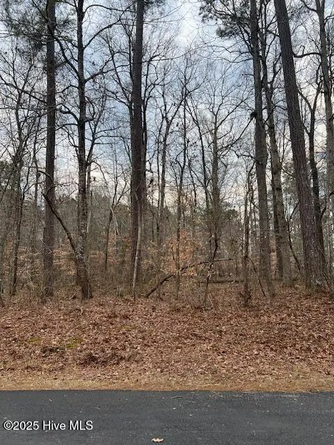 00 Dogwood Dr.