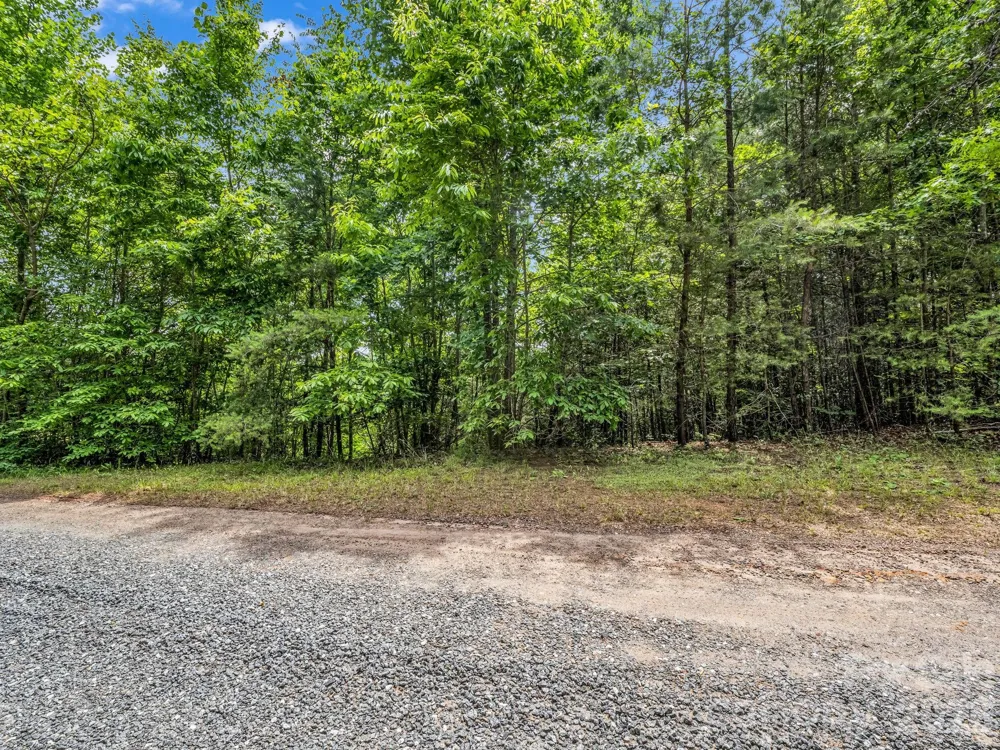 0 Sandpiper Avenue Lake Lure, NC 28746