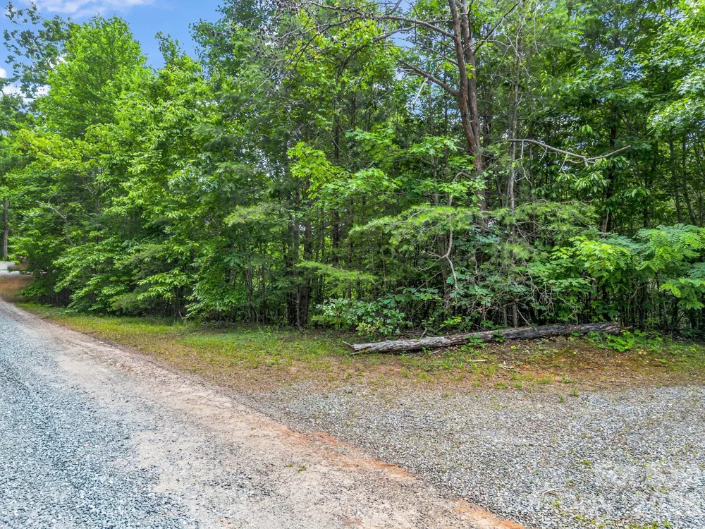 0 Sandpiper Avenue Lake Lure, NC 28746