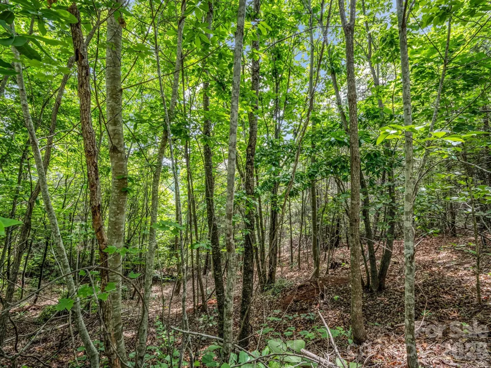 0 Sandpiper Avenue Lake Lure, NC 28746