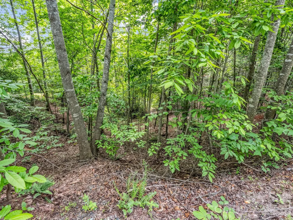 0 Sandpiper Avenue Lake Lure, NC 28746