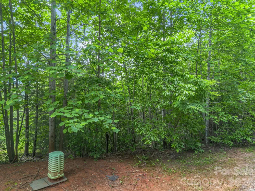 0 Sandpiper Avenue Lake Lure, NC 28746