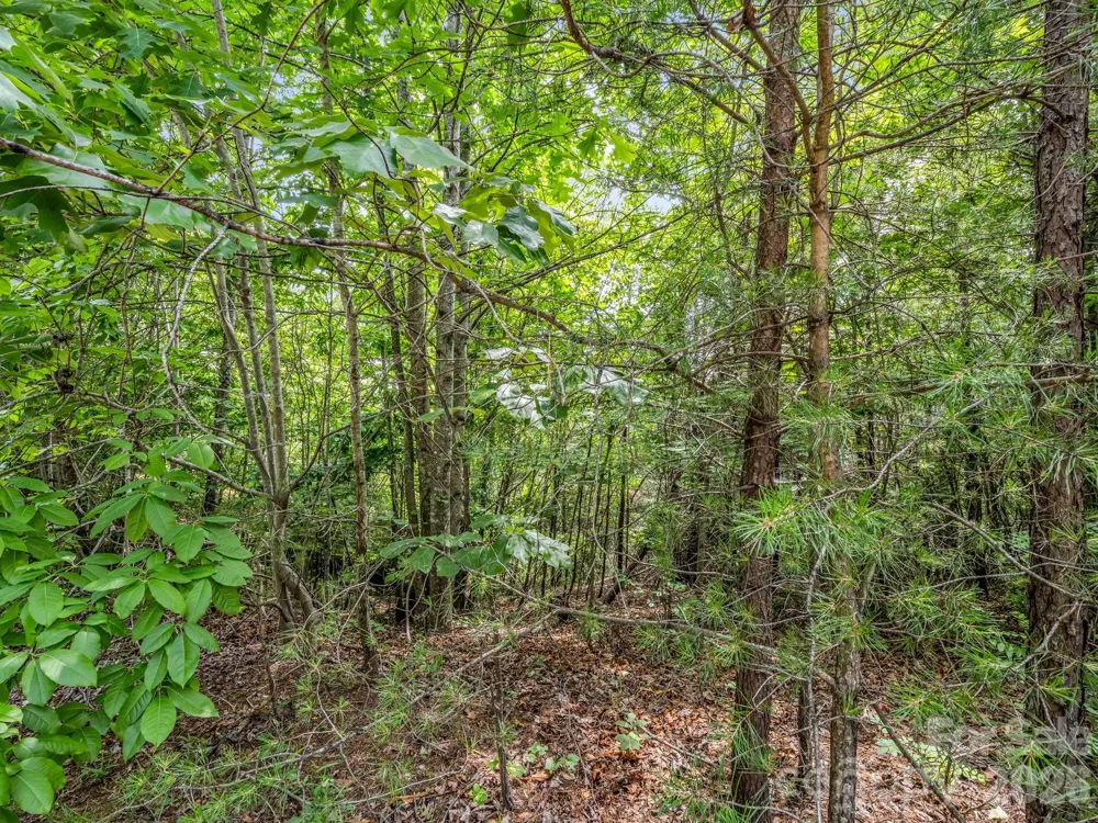 0 Sandpiper Avenue Lake Lure, NC 28746