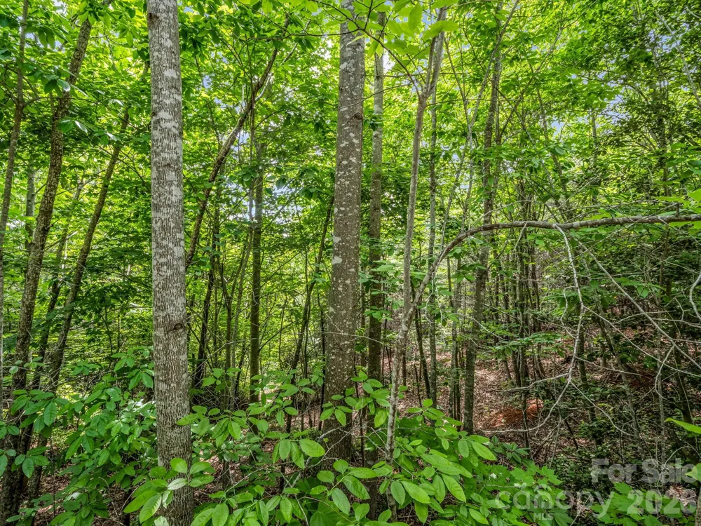 0 Sandpiper Avenue Lake Lure, NC 28746