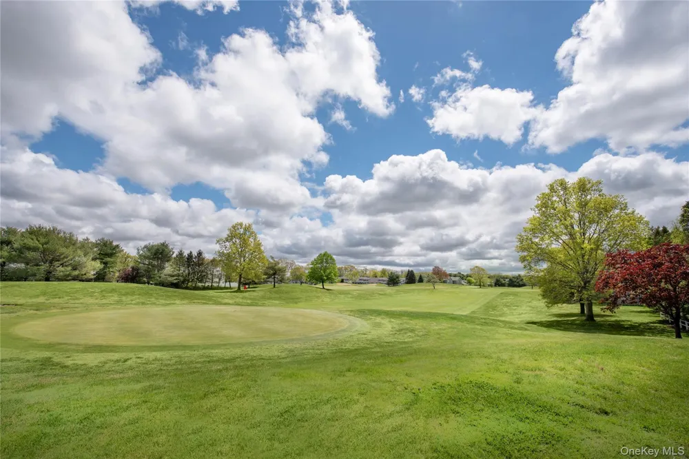 5 Robert Lane #5 Middle Island, NY 11953