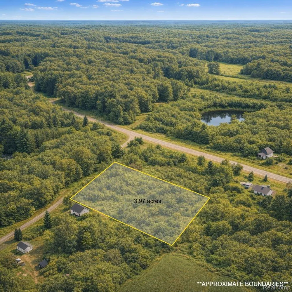 Gray Road Elba Township, MI 48446