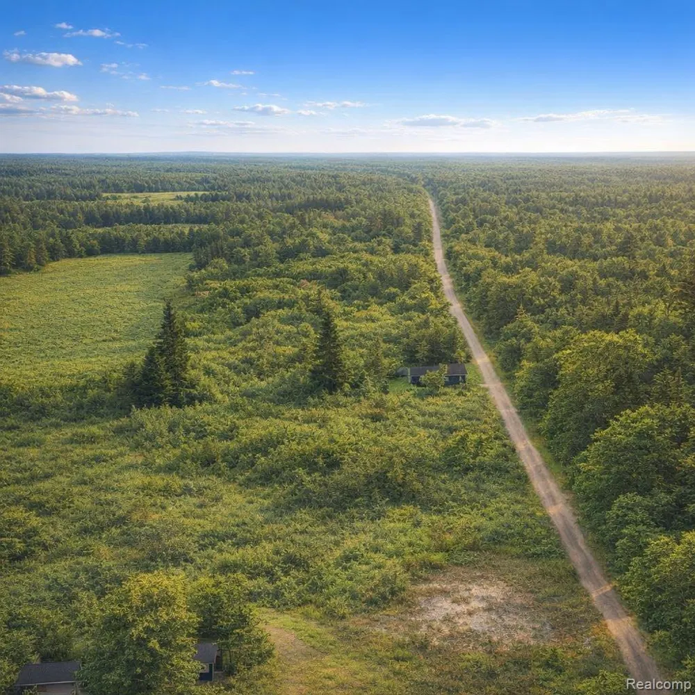 Gray Road Elba Township, MI 48446