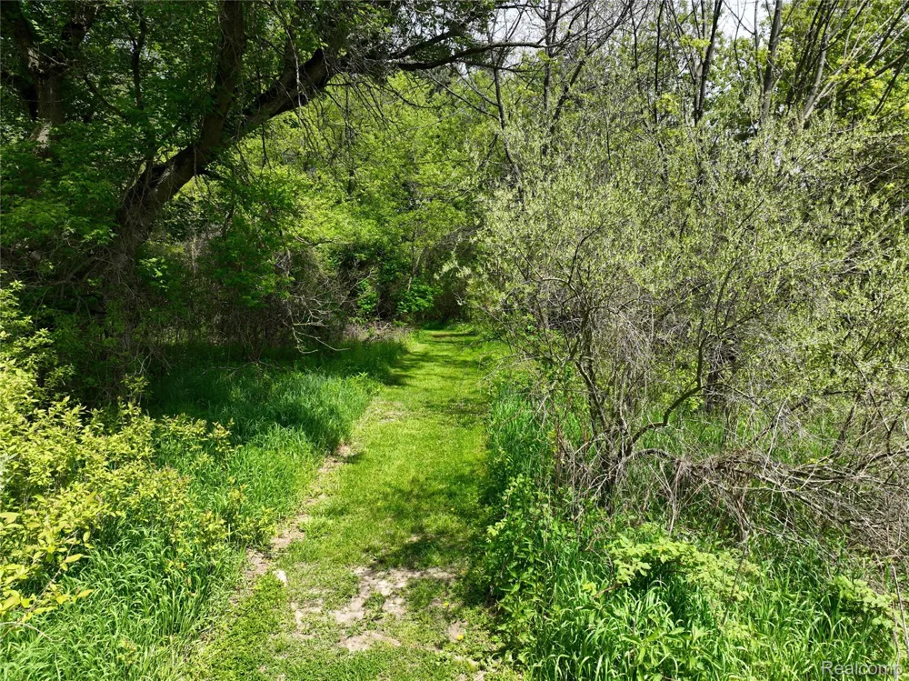 Gray Road Elba Township, MI 48446