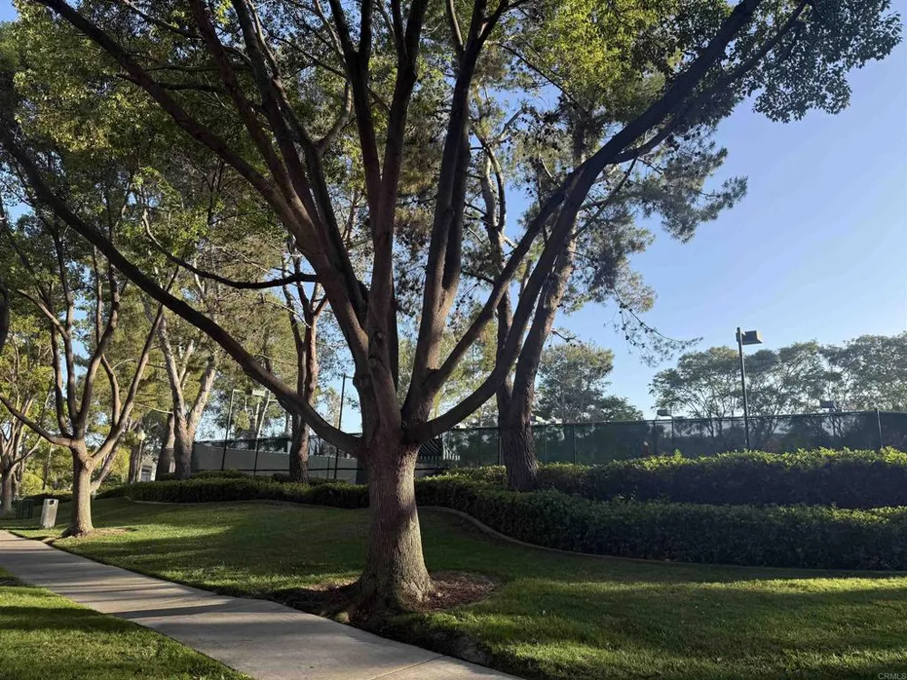 2971 W Canyon Avenue San Diego, CA 92123