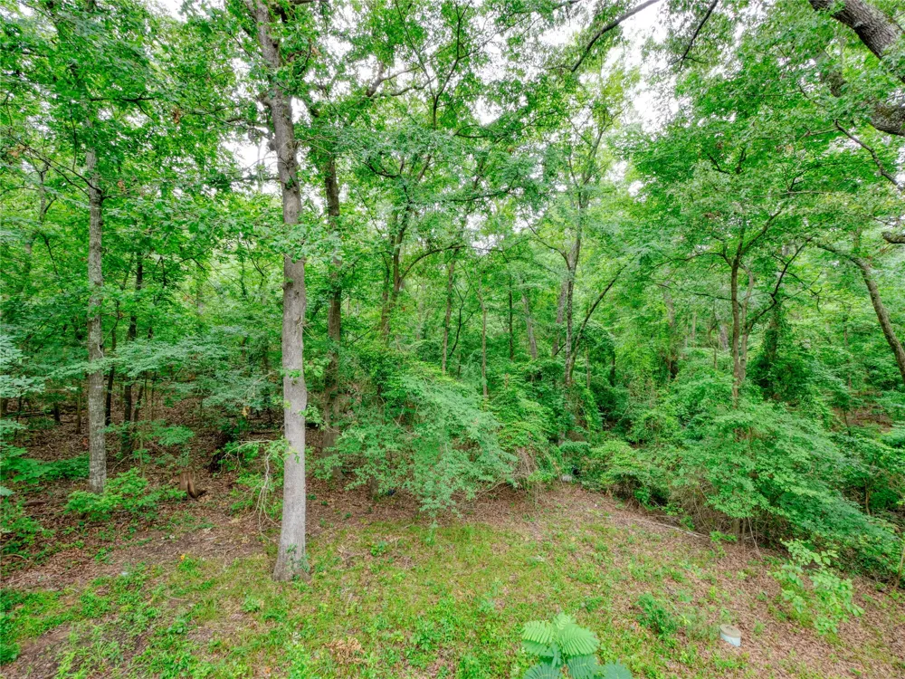 1508 Canadian Drive Scroggins, TX 75480
